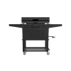 28-Inch 2-Burner Griddle With Electric Air Fryer And Hood