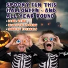 30 Gummy Eyeballs, Spooky Halloween Eyeball Candy in 4 Flavors, Soft Gummies with Jelly Filling, Individually Wrapped, B