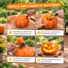 30-Piece Professional Pumpkin Carving Kit with Stencils and Stainless Steel Tools