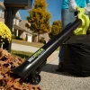 RYOBI 40V VAC ATTACK Leaf Vacuum/Mulcher Kit - (2) 40V 5.0 Ah Batteries