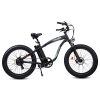 ECOTRIC Adult Electric Bike 26 x 4.0 in Fat Tires, 750W, 48V 13AH - Hammer