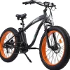 ECOTRIC Adult Electric Bike 26 x 4.0 in Fat Tires, 750W, 48V 13AH - Hammer
