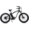 ECOTRIC Adult Electric Bike 26 x 4.0 in Fat Tires, 750W, 48V 13AH - Hammer