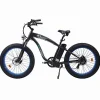 ECOTRIC Adult Electric Bike 26 x 4.0 in Fat Tires, 750W, 48V 13AH - Hammer