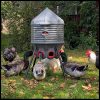 80lb Poultry Feeder, Adjustable Height, UV Stable, Weather Resistant, 8 Ports, Made In USA