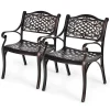 All-Weather Cast Aluminum Outdoor Dining Chairs, Set Of 2 - 23 in x 22 in x 32.5 in