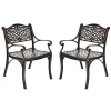 All-Weather Cast Aluminum Outdoor Dining Chairs, Set Of 2 - 23 in x 22 in x 32.5 in