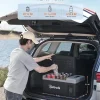 AstroAI Portable Car Refrigerator 15L, 12/24V DC and 110V AC, Black - C15