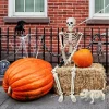 Ayieyill 2pcs Skeleton and Dog Skeleton Halloween Decorations Posable Skeletons Halloween Decorations Indoor Outdoor