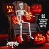 Ayieyill 2pcs Skeleton and Dog Skeleton Halloween Decorations Posable Skeletons Halloween Decorations Indoor Outdoor
