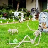 Ayieyill 2pcs Skeleton and Dog Skeleton Halloween Decorations Posable Skeletons Halloween Decorations Indoor Outdoor