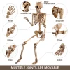 Ayieyill 5.4ft Halloween Skeleton Decorations, Weathered Posable Skeleton Decor for Halloween Decorations Outdoor Indoor