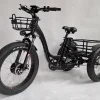 BaFang Fat Tire Electric Trike, 750W 48V 16AH Samsung Battery, 350 lbs Capacity