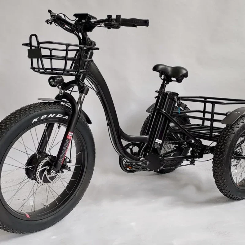 BaFang Fat Tire Electric Trike, 750W 48V 16AH Samsung Battery, 350 lbs Capacity