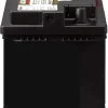 BCI Group 49 AGM Battery - Gold