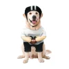 Best Furry Friends Costume for Dogs or Cats, Football Player, Large