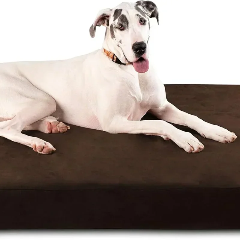 Big Barker Orthopedic Dog Bed, Extra Large, 52in L x 36in W x 7in Th - MicroSuede Cover