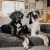 Big Barker Orthopedic Dog Bed, Extra Large, 52in L x 36in W x 7in Th - MicroSuede Cover