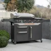 Blackstone ProSeries 5 Burner 28in Propane Griddle With Range Top - 2008