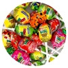 Bon Bon Bum Assorted Flavors Candy Lollipops, 1 Pound Bulk Candy (Approx. 22 pcs.), Individually Wrapped Lollipops with