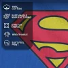 Boy's Superman Classic Logo Graphic Tee Royal Blue Medium