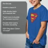 Boy's Superman Classic Logo Graphic Tee Royal Blue Medium