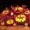 Clackibukvyz Pumpkin Carving Kit, Halloween Professional Pumpkin Cutting Supplies Tools with Carrying Bag, 10 Pcs