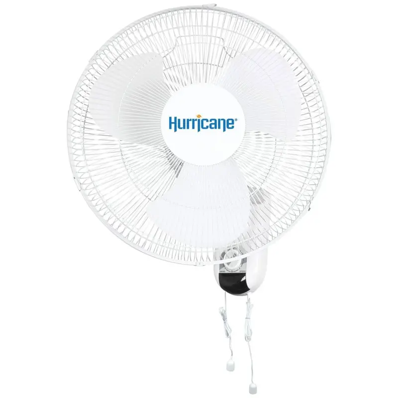 Classic 16-Inch Wall Mounted Oscillating Fan, 3-Speed, White, Metal