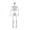 Costway 5.4 FT Halloween Skeleton Decoration Life Size Large Skeleton with Posable Joints 64.5 Inches Ivory White
