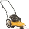 Cub Cadet 22 in Walk-Behind String Trimmer, 159 cc Engine