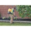 DEWALT 20V Lithium-Ion 4 Gal. Battery-Powered Backpack Sprayer - 190681