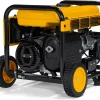 DeWalt Portable Gas Generator 5 000 Starting Watts, 4 000 Running Watts, 223cc - DXGNR4000