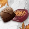 Dove Promises Dark Chocolate Fall Halloween Candy - 8.87 oz