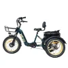 DWMEIGI Silverado 20 inch 48V/14Ah 750W Folding Electric Tricycle With Wide Tires, 150 kg - MG2301