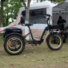 DWMEIGI Silverado 20 inch 48V/14Ah 750W Folding Electric Tricycle With Wide Tires, 150 kg - MG2301
