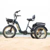 DWMEIGI Silverado 20 inch 48V/14Ah 750W Folding Electric Tricycle With Wide Tires, 150 kg - MG2301