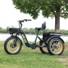 DWMEIGI Silverado 20 inch 48V/14Ah 750W Folding Electric Tricycle With Wide Tires, 150 kg - MG2301