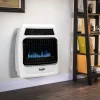 Dyna-Glo Liquid Propane Blue Flame Vent-Free Thermostatic Wall Heater, 20,000 BTU - BFSS20LPT-4P