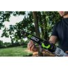 Ego Power+ 10 in. 56 V Battery Pole Saw Kit - PS1001