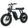 Electric Mountain Bike For Adults, 20 x 4.0 Fat Tires, 1000W Motor, 48V 20Ah Battery, Black - G-M1Sp