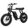 Electric Mountain Bike For Adults, 20 x 4.0 Fat Tires, 1000W Motor, 48V 20Ah Battery, Black - G-M1Sp