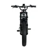 Electric Mountain Bike For Adults, 20 x 4.0 Fat Tires, 1000W Motor, 48V 20Ah Battery, Black - G-M1Sp
