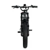 Electric Mountain Bike For Adults, 20 x 4.0 Fat Tires, 1000W Motor, 48V 20Ah Battery, Black - G-M1Sp