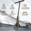 Electric Scooter 10 Inch Solid Tires, 500W, Dual Suspension