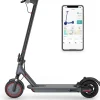Electric Scooter 10 Inch Solid Tires, 500W, Dual Suspension