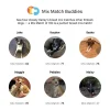 Embark Dog DNA Breed Identification Test Kit With Doggy Relative Finder