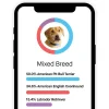Embark Dog DNA Breed Identification Test Kit With Doggy Relative Finder