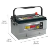 EverStart Platinum AGM Automotive Battery, Group Size 65, 12 Volt, 750 CCA
