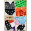 Fanni Youpin Assorted Colors Paisley Cowboy Bandanas 12 Pack 22 inch Thick Cotton Kerchiefs for Men Women Mixed color