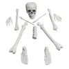 Faux Bag of Bones, 12 Pieces, Halloween by Way To Celebrate